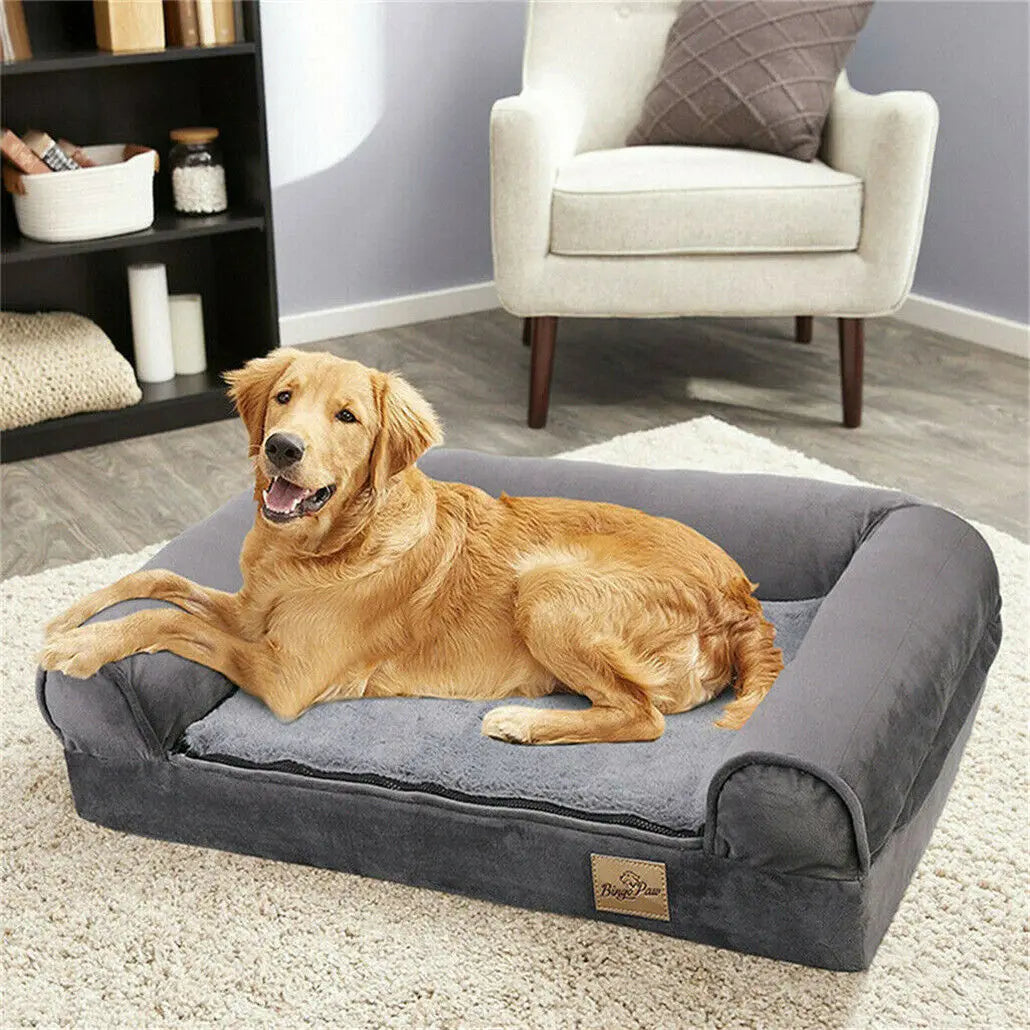 Orthopedic Dog Bed